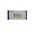 birds1