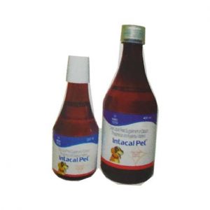 INTACAL PET 450 ML