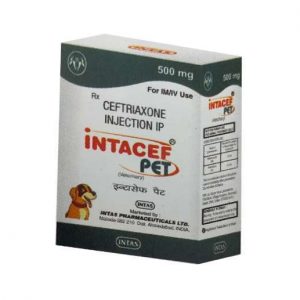 INTACEF PET