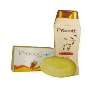 PROCOTT SHAMPOO 500 ml