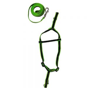 WOW BODY SET NYLON 0.5 INCH MULTI COLOUR BLACK GREEN for Dogs/ Cats/ Pets