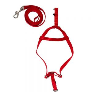 WOW BODY SET NYLON 0.5 INCH RED for Dogs/ Cats/ Pets