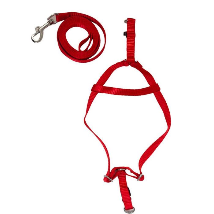 0.5 red 1