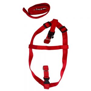 WOW BODY SET NYLON 0.75 INCH RED for Dogs/ Cats/ Pets