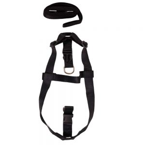 WOW BODY SET NYLON 1.0 INCH BLACK for Dogs/ Cats/ Pets