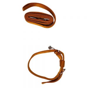 WOW COLLAR SET NYLON 1.0 INCH BROWN for Dogs/ Cats/ Pets