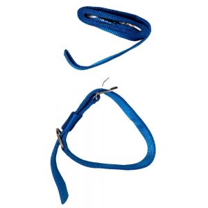 WOW COLLAR SET NYLON 1.25 INCH BLUE for Dogs/ Cats/ Pets