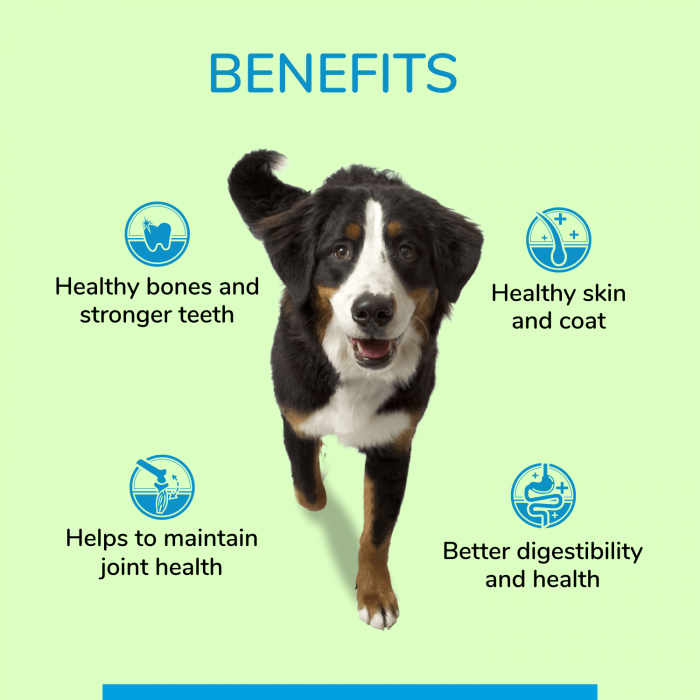 Canine Creek Adult Gravy 3