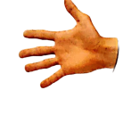 Hand