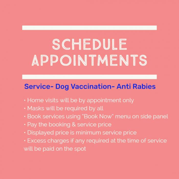 Mint Green Small Business Appointment Announcement-1