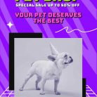 S X PET SHOP