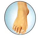 Toenail