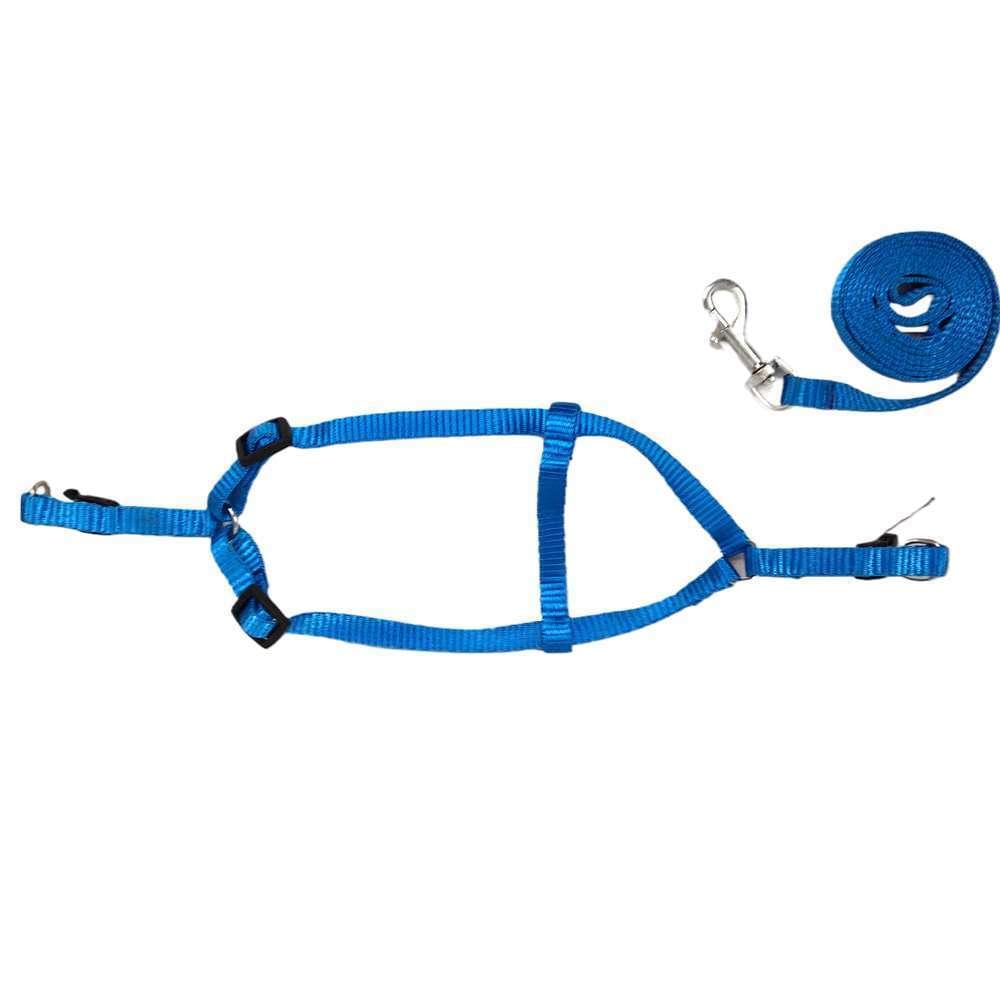 WOW BODY SET NYLON 0.5 INCH BLUE for Dogs/ Cats/ Pets