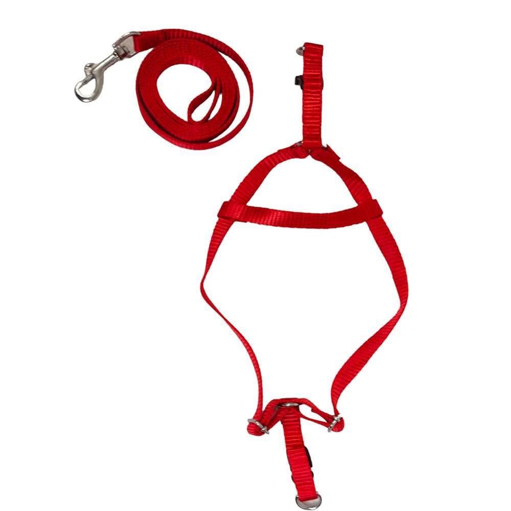 WOW BODY SET NYLON 0.5 INCH RED for Dogs/ Cats/ Pets