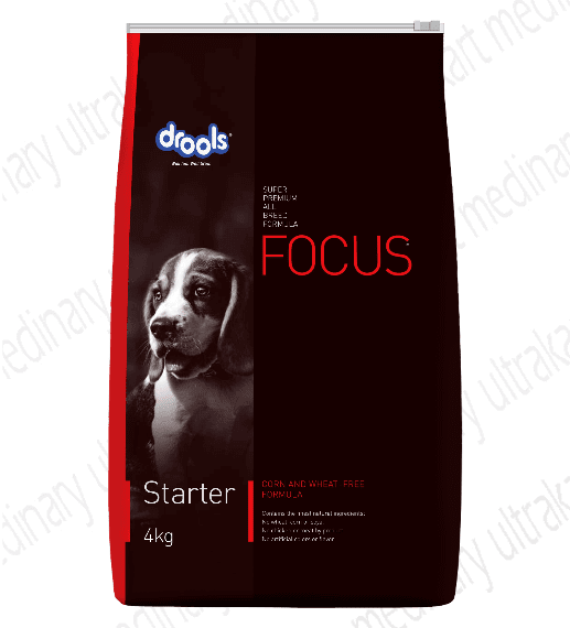 Drools Focus Starter Super Premium Dog Food, 4 kg