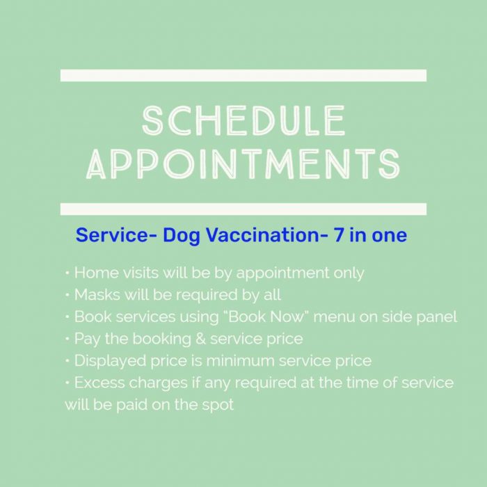 dog vaccination 7 in 1